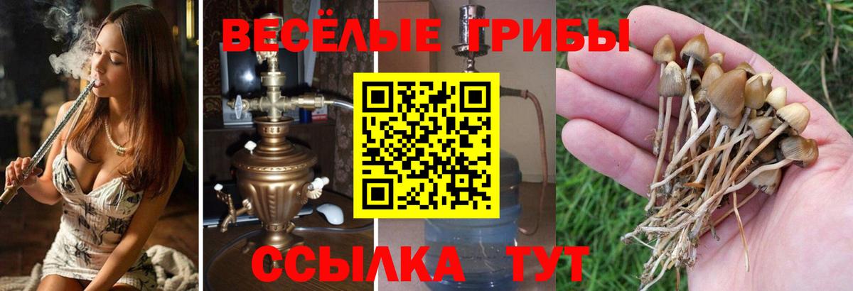 Галлюциногенные грибы GOLDEN TEACHER  Вход с VPN  Воронеж 