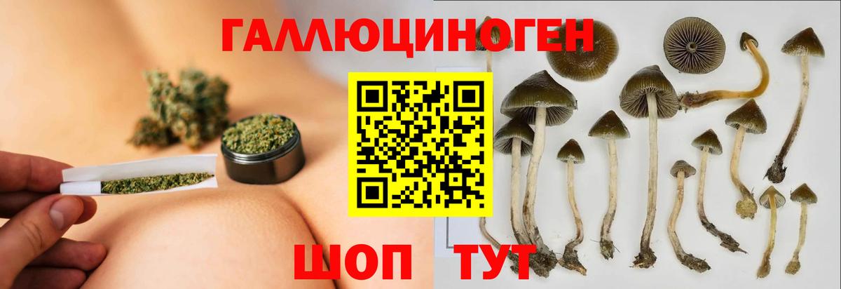 Псилоцибиновые грибы Magic Shrooms Воронеж